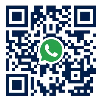 RUGSTORM Whatsapp