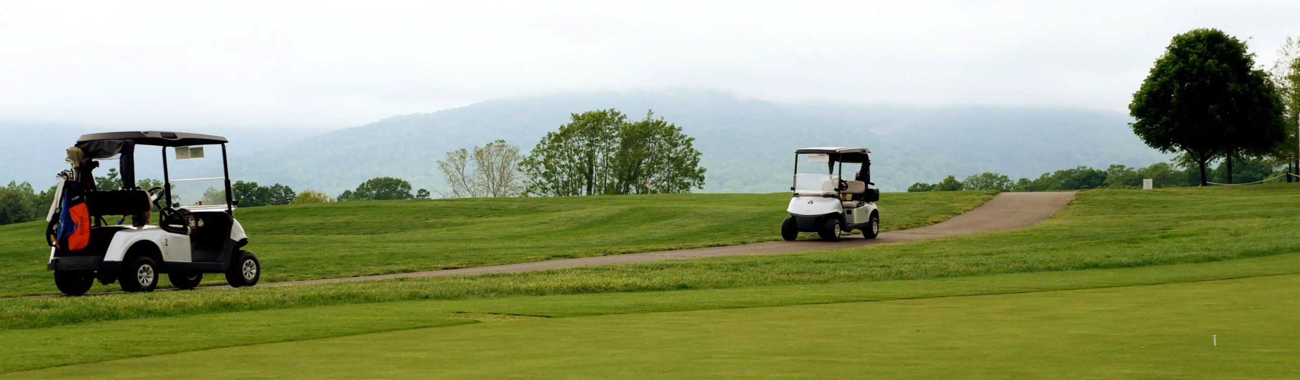 Two white golf carts on a vast green field with rolling hills and misty mountains in the distance under a cloudy sky.